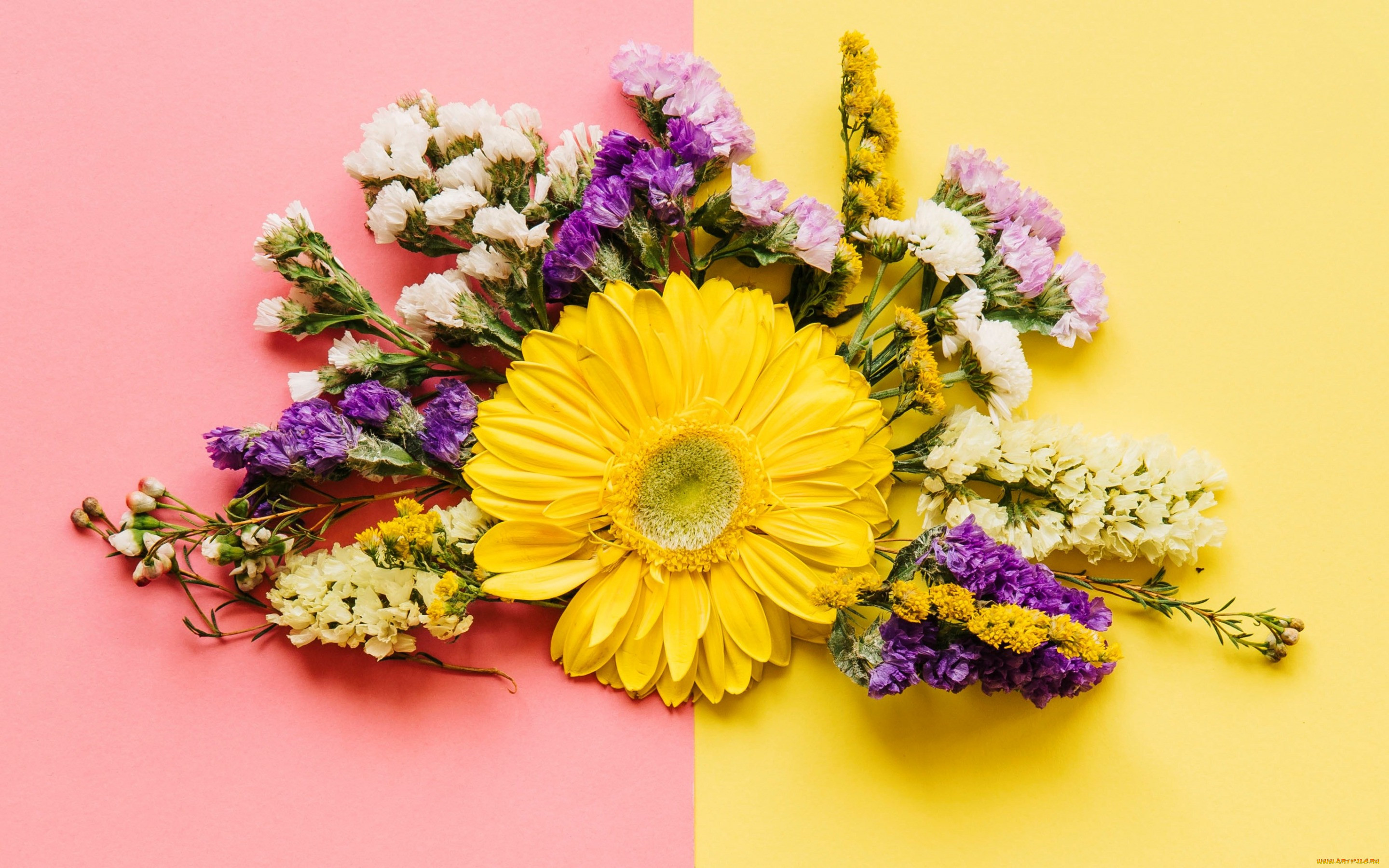 , ,  , , colorful, , bright, , spring, flowers